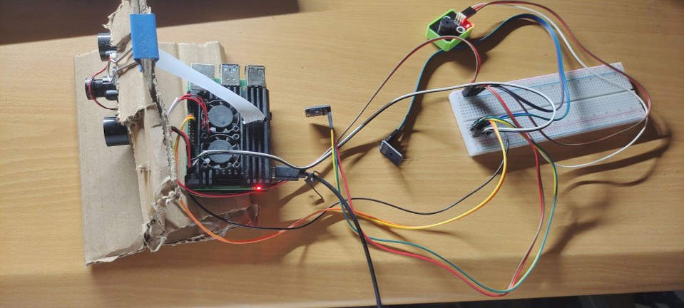 Environmental Detection System Based on Raspberry Pi and YOLOv5